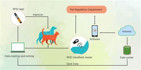 rfid based animal identification system